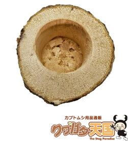 楽天市場 クワガタ 餌 木の通販