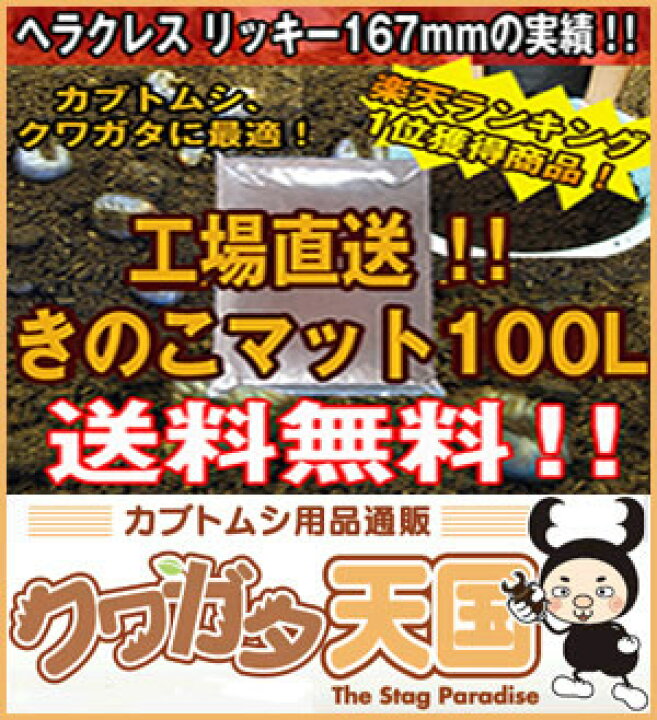 楽天市場】【きのこMat100L】カブトムシ幼虫、クワガタ幼虫が大きく 