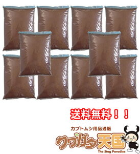 ŷMat100LzJugVcANK^c傫Ђ̃}bgIV[Y݌v1310bgȏ̔̔сIvdlI[}CeBy}bgIiNK^c̉aEJug