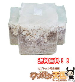 楽天市場 菌糸ブロックの通販