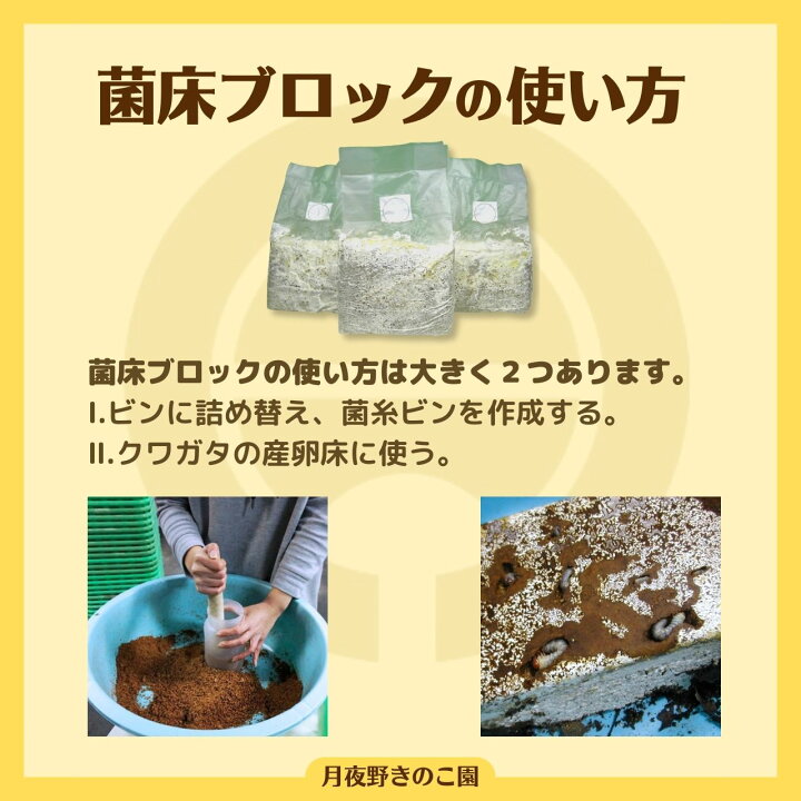 楽天市場】◇N-カワラブロック×9個 上級者向け 菌糸ビン（菌糸瓶 