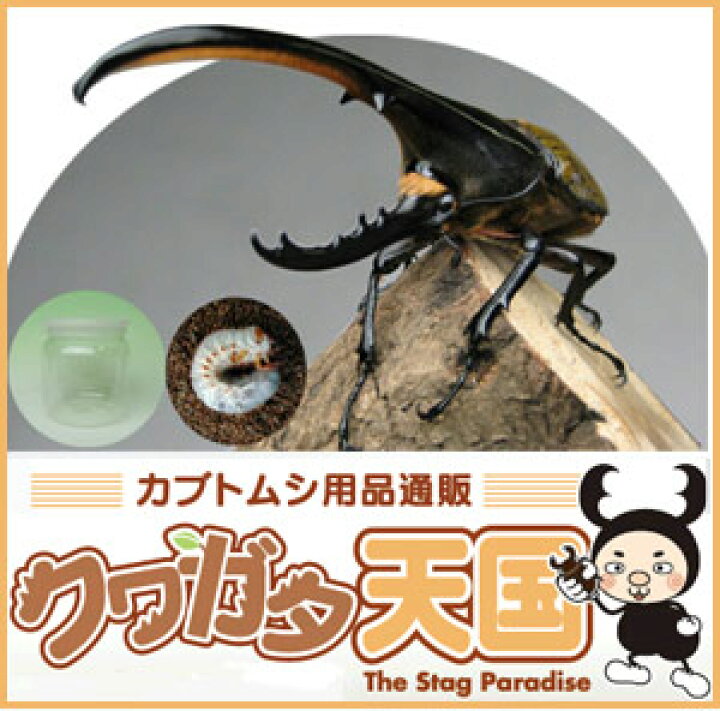 低価格化 Rushレギュラーマット カブトマット50リットル大袋入り Rushレギュラーマット カブトマット50リットル大袋入り