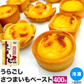 さつまいも ペースト 冷凍 うらごしさつまいも 400g 冷凍 業務用 素材 サツマイモ さつまいも 裏ごし 便利 時短 大家族 ファミリー お菓子作り スイートポテト 鍋特集 業務用 手作り ケーキ