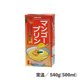 マンゴープリン 540g（500ml） 常温/冷蔵 芒果 プリン パック スイーツ デザート 食品 便利 時短 簡単 おやつ お菓子 カフェ レストラン ビュッフェ ブッフェ さっぱり