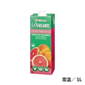 ルビーグレープフルーツジュース 1L 常温/冷蔵 コク ドリンク 飲料 ジュース グレープフルーツ オレンジ りんご さっぱり 食品 業務用