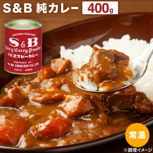 J[ Ɩp S&B J[ S&BJ[ 400g 퉷 J[ J[  e Ɩp Ƒ BBQ p[eB[ t Ԋ GXr[Hi i  XpCX H [H {i