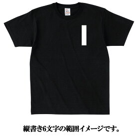 漢字 刺繍 Tシャツ / 外人 向け 喜ぶ 人気 日本 お土産 / 当て字 名前 名入れ サービス。 会社名 チーム名 グループ 団体 サークル 部活