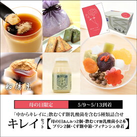 【キレイセット（5種詰合せ）】母の日あんみつ2個・飲むくず餅乳酸菌（小）2本・プリン2個・くず餅中箱1箱・フィナンシェ巾着【5/9～5/13到着】 母の日 プレゼント 2024 ギフト おしゃれ かわいい 可愛い スイーツ お菓子 和菓子 お土産 老舗 和風 お礼 高級 絶品 【冷蔵品】