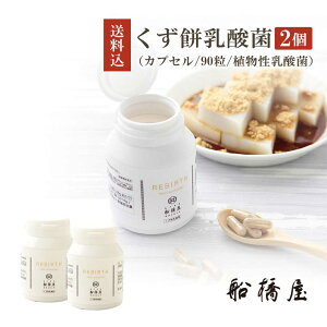 Tv Tvg N _ A  t[ Ɖu P GCWOPA  KyREBIRTH  _ JvZ 90×2z