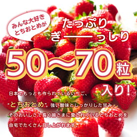 栃木県産いちご「とちおとめ」自宅用 葛生農場 レギュラー4パック/お取り寄せ/果物/フルーツ/詰め合わせ/農園直送/ストロベリー/自分用/苺/お得パック/お得セット/栃木県産いちご