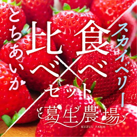 栃木県産厳選高級いちご「とちあいか」「スカイベリー」贈答用 葛生農場 1パック9～16粒、ゆりかーごパック2セット/贈答用/お取り寄せ/果物/フルーツ/詰め合わせ/農園直送/ストロベリー/最高級/お祝い/フルーツセット/ギフト/贈り物/食べ比べ/苺/プレゼント/栃木県産いちご