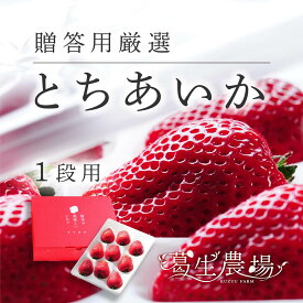 栃木県産厳選高級いちご「とちあいか」葛生農場/ 1パック9～12粒、ゆりかーご1パックセット/贈答用/お取り寄せ/フルーツギフト/果物/フルーツ/詰め合わせ/農園直送/ストロベリー/最高級/お祝い/フルーツセット/ギフト/贈り物/苺/プレゼント/栃木県産いちご
