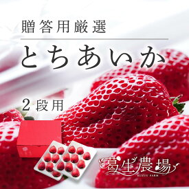 栃木県産厳選高級いちご「とちあいか」葛生農場/ 2パック18～30粒、ゆりかーご2パックセット/贈答用/お取り寄せ/フルーツギフト/果物/フルーツ/詰め合わせ/農園直送/ストロベリー/最高級/お祝い/フルーツセット/ギフト/贈り物/苺/プレゼント/栃木県産いちご