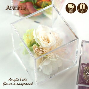  vU[uht[ ~j TCY y KN Mtg {bNXbAH[ z( Ԍt   ) o uU[ht[ a Mtg  킢 lC AN P[X 