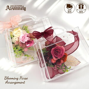 y Vi 25N10̔Jn z vU[uht[ KN AN P[X y t[obN | Avonnely AH[ z  / bh sN / ԍ o AWTC JX~\E / a 