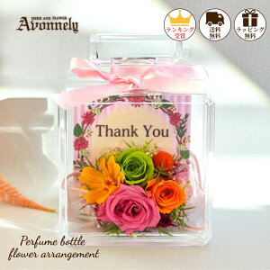  vU[uht[ a j v[gy r AW | Avonnely AH[ z ސE o ԑ җj Ď j j җ JƏj j  e Mtg 