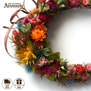 _|Cg10{ 10/31(23:59)^ AeB[N [X  hCt[ y t[[X a16cm`18cmbAvonnely AH[ z  / u[ IW / ԍ AWTC z / Ǌ|