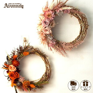 _|Cg10{ 11/1(23:59)^ H [X  hCt[ [X y t[[X a16cm`18cmbAvonnely AH[ z  / ԍ o AWTC JX~\E / vU[uh u