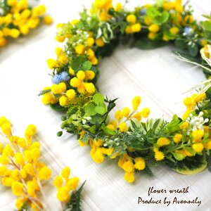  ~U [X  CeA y t[[X a16cm`18cm | Avonnely AH[ z i`[X EFJ[X t hA [X  rO Q Ǌ| Ǐ 