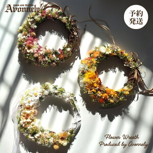 hCt[ [X  CeA Ǌ| y t[[X a23cm`25cmbAvonnely AH[ z  / CG[ sN zCg / ԍ ݑ AWTC g / j 