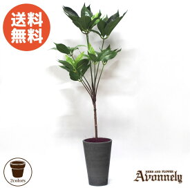 観葉植物 フェイク グリーン 【 ツピタンサス 高さ90cm｜Avonnely アヴォンリー 】 ( 花言葉 幸福 ) 送料無料 造花 インテリア インテリアグリーン リアル おしゃれ お祝い 初心者 新生活 ギフト プレゼント