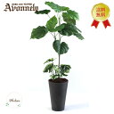 【本日23:59迄 店P2倍! 楽天勝利P2倍! Wでお得】 フェイク グリーン 観葉植物 【 ウンベラータ 高さ90cm 第二世代・改良版｜アヴォンリー 】( 花言葉 永久の幸せ 夫婦愛 ) ギフト 送料無料 リアル 衛生的 人気 おしゃれ インテリア お祝い 寝室 初心者 新生活
