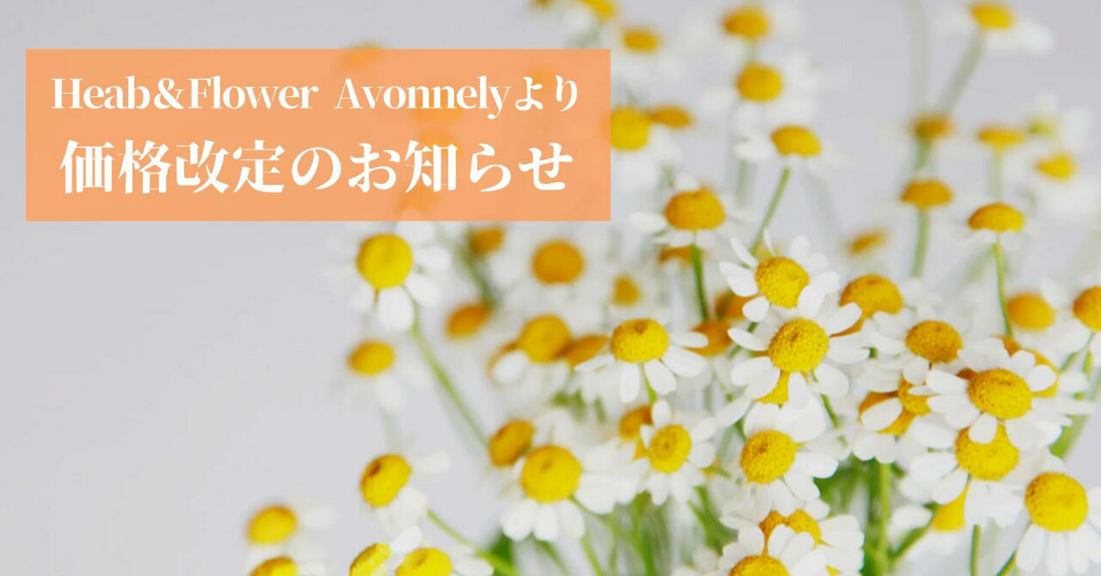 プリザーブドフラワーの価格改定のお知らせ