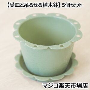 Aؔ 󂯎M  4 5Zbg y Mƒ݂邹Aؔ | q z vX`bN / sN zCg u[ ubN O[ uE / y 킢  JS oX