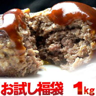 ギフト 肉 ＼TBS Nスタで紹介／ 黄金比率 ハンバーグ4個 メンチカツ 4個 お試し セット 1kg 訳あり 福袋 …