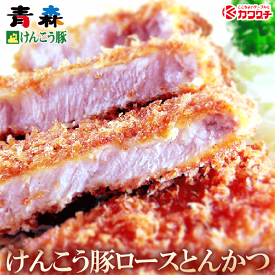 ギフト 肉 小判 厚め けんこう豚 ロースカツ 150g 4枚