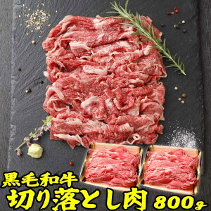 Mtg  a  ؂藎Ƃ 800g|  | Ăa ̓ ̓ 񂹃O Mtg Hi Hו j j O Hו |  Ă ₫   a 