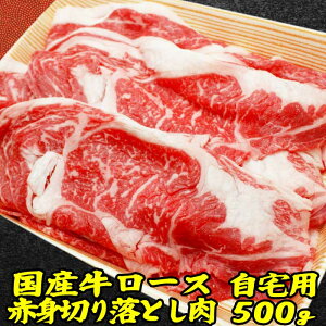 Mtg  Y  [X ؂藎Ƃ  500g | 󂠂 [  Mtg oY j Mtg Ă Mtg oYj Hו j Ⓚ O   ̓ Hi