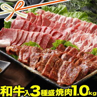 焼肉セット メガ盛り 1kg | 和牛 焼肉 豚カルビ 牛 ハラミ 肉 | 送料無料 | ギフト 食品 食べ物 内祝い …