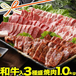 Mtg  ēZbg K 1kg | a ē ؃Jr  n~  |  | Mtg Hi Hו j j O Hו |  o[xL[  a Ⓚ | oYj ̓