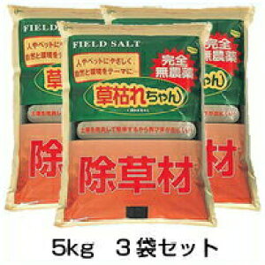 y͂ꂿ@5kg@3܃Zbgz  s