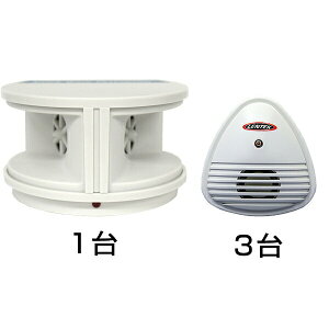 ˂݋쏜 g˂݌ފ A^bNyXgy[ 1 HIGHyXgy[ 3Zbg lY~쏜 l쏜