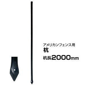 yAJtFX ubNp Y 2000mm@×1{z x ߍ