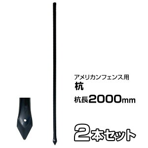 【アメリカンフェンス ブラック用 杭 高さ2000mm ×2本セット】 支柱 埋め込み