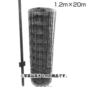 yԃbVtFX@ubNi1.2m×20mAx11{tjz hb hbO DIY  