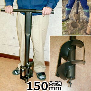 y񂽂W{@@a150mmz y 点 @  H