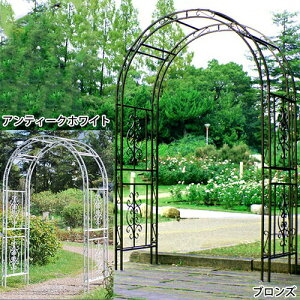 yACAA[`zzCg uY K[f o