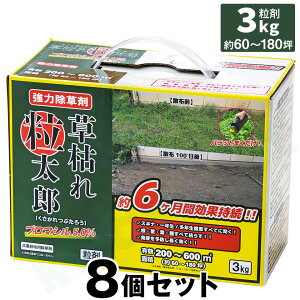   y͂ꗱYi3kgj ×8Zbgz u}V  N N G yUz