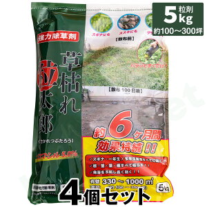   y͂ꗱYi5kgj ×4Zbgz u}V  N N G yUz