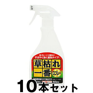  y͂ԃXv[ 500ml@×10{Zbgz GSE V