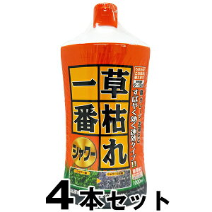  y͂ԃV[ 1000ml@×4{Zbgz GSE V