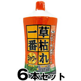 除草剤 【草枯れ一番シャワー 1000ml　×6本セット】 GSE 天日塩