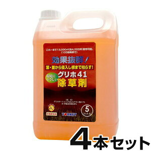 yOz41  5L@×4{Zbgz _knp