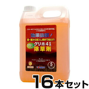 yOz41  5L@×16{Zbgz _knp