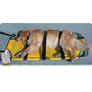 犬用健康管理用品 ストレッチャー 搬送 犬用品の人気商品 通販 価格比較 価格 Com 犬用健康管理用品 ストレッチャー 搬送 犬用品の人気商品 通販 価格比較 価格 Com