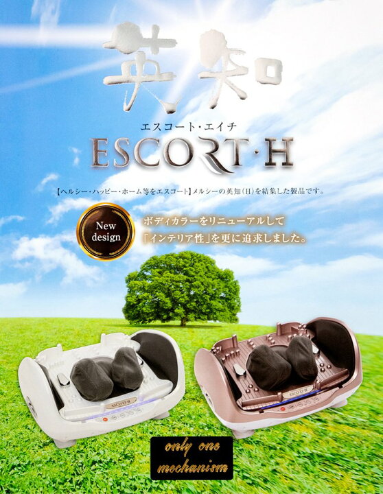 楽天市場】新型 【エスコート・エイチ】 もみ玉カバー付き 医療 